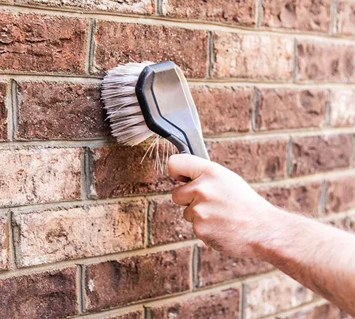 Brick Cleaning