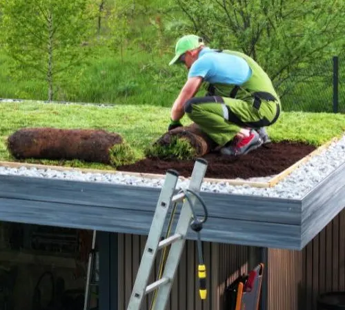 Green Roof Installation